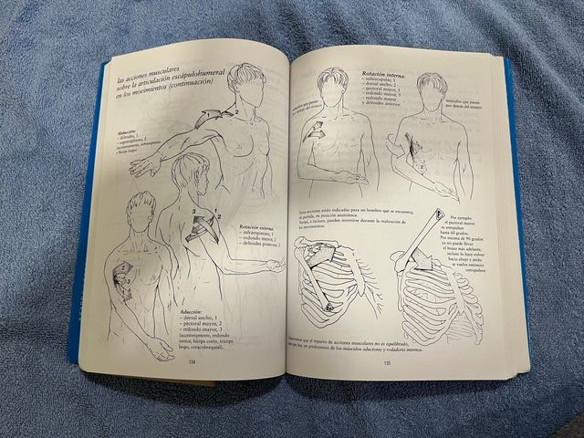 Anatomia Para El Movimiento I (Spanish Edition)