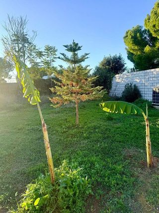 Chalet en venta en La Paz en Alcalá de Guadaira