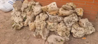 Piedras Decorativas para Jardín