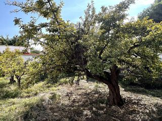 Chalet en venta en Playa de Almazora-Ben Afeli en Almazora/Almassora