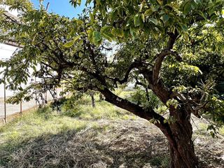 Chalet en venta en Playa de Almazora-Ben Afeli en Almazora/Almassora