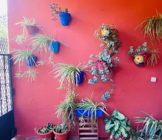 Restaurante en venta en Pinos de Alhaurín - Periferia en Alhaurín de la Torre