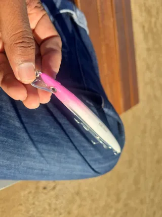 Señuelo Hunt House 33g