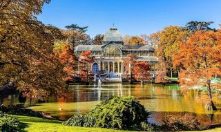 Restaurante en alquiler en Trafalgar en Madrid