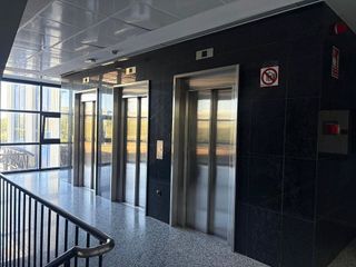 Oficina en alquiler en Triana Oeste en Sevilla