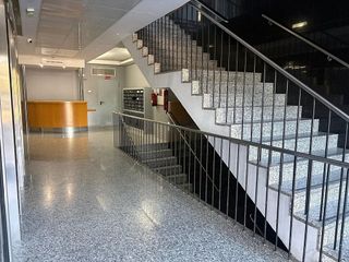 Oficina en alquiler en Triana Oeste en Sevilla