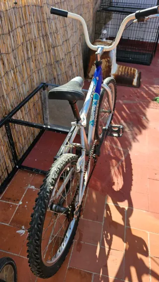 Bicicleta BMX Trotter 20