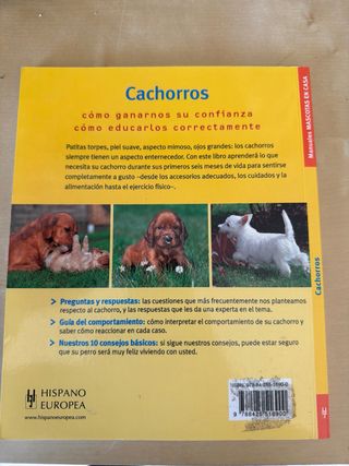 Cachorros (Mascotas en casa/ Pets At Home) (Spa...