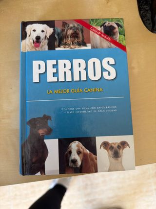 PERROS:MEJOR GUIA CANINA