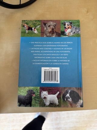 PERROS:MEJOR GUIA CANINA