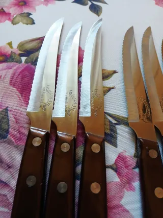 Set 6 Coltelli da Tavola Manico Legno