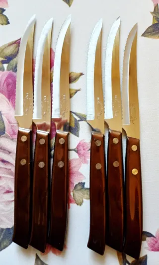 Set 6 Coltelli da Tavola Manico Legno