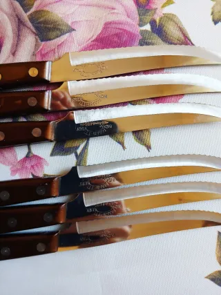 Set 6 Coltelli da Tavola Manico Legno