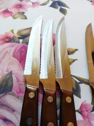 Set 6 Coltelli da Tavola Manico Legno