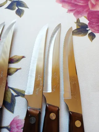 Set 6 Coltelli da Tavola Manico Legno