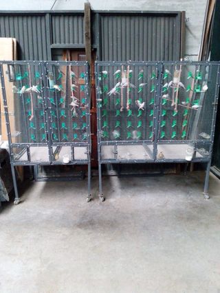 Jaulas para pájaros