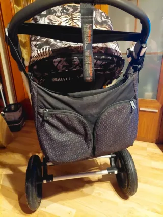 Carro Bugaboo Capazo y Silla Paseo edición limitad