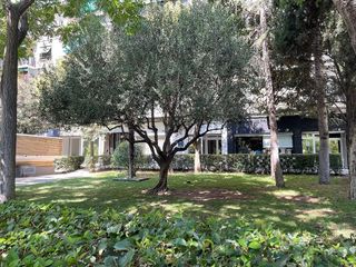 Local comercial en alquiler en Casablanca en Zaragoza