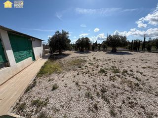 Chalet en alquiler en Novelda