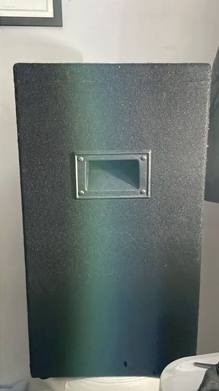 Altavoces pasivos auna 12 buen estado