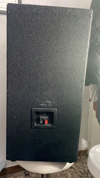 Altavoces pasivos auna 12 buen estado