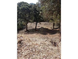Terreno en venta en Vidreres