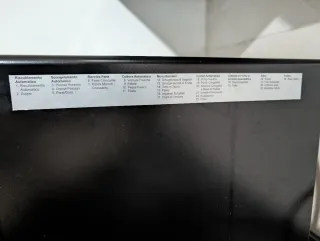 Microonde e Forno Panasonic NN-C69KSM