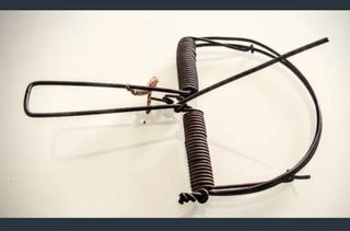 Percha para pájaros de alambre