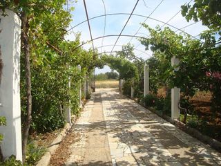 Chalet en alquiler en El Marquesado en Puerto Real