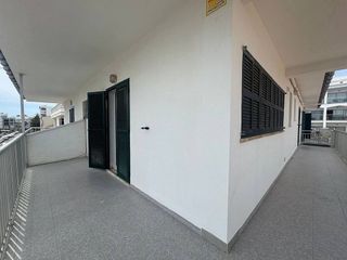 Piso en alquiler en Can Picafort en Santa Margalida