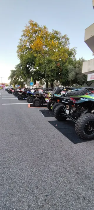 Mecanico Especialista