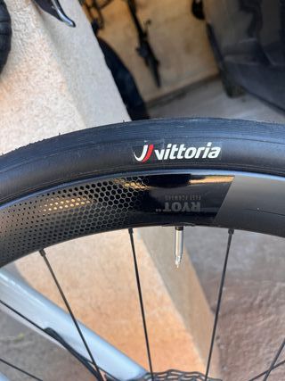 Ruedas FFWD Ryot 44 Carbon