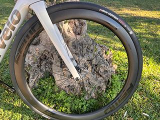 Ruedas FFWD Ryot 44 Carbon