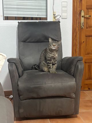 Sofá reclinable con sillón eléctrico a juego.