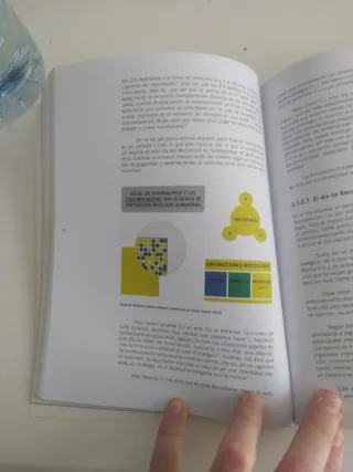 Periodización Táctica vs Periodización Táctica