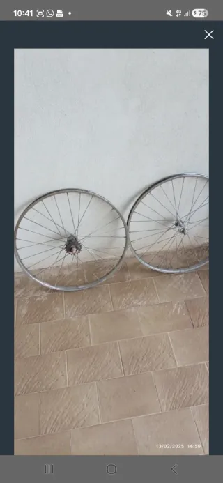 Coppia cerchi 24 scatto fisso