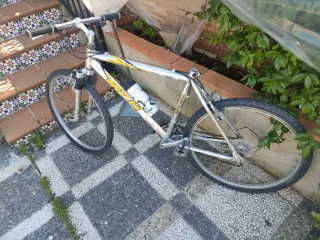 Bicicleta de montaña