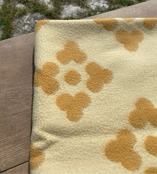 Coperta singola vintage Lucchesina fiorellini