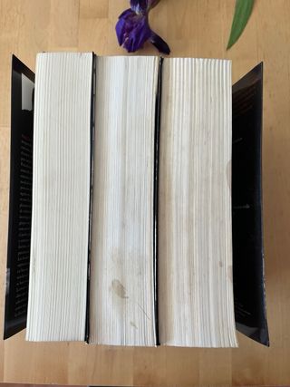 Los hombres que no amaban a las mujeres. Milenium