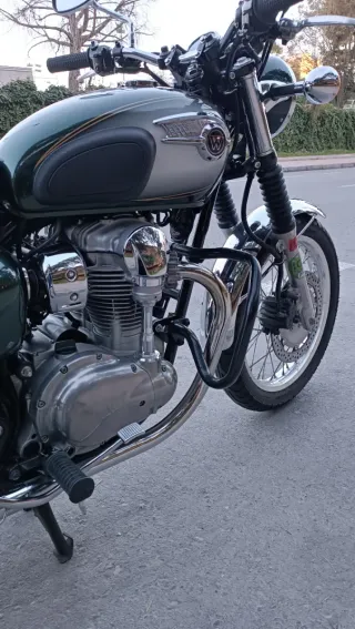 Kawasaki W800 Verde y Plata