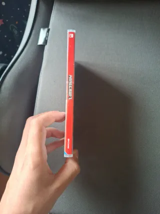 Minecraft Nintendo Switch
