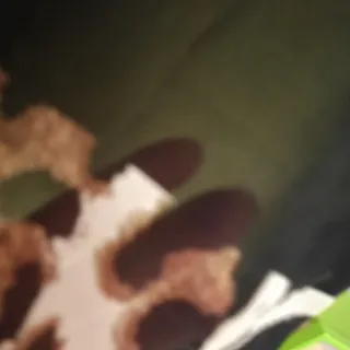 Camicia fantasia leopardata Tg.42 italiana