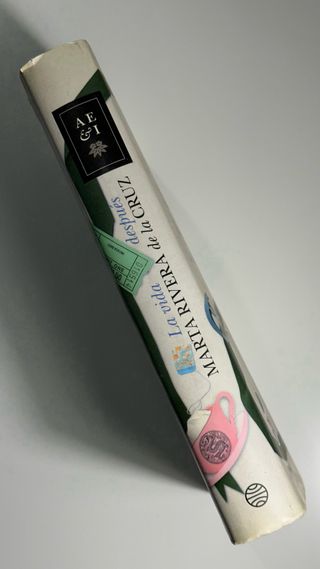 La vida después Marta Rivera de la Cruz novela