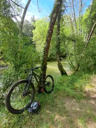 SCOTT Genius 930 2022 T (M)