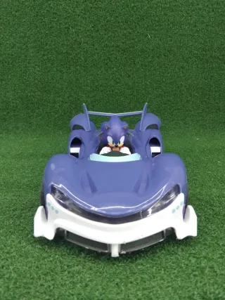Coche Carrera RC Sonic