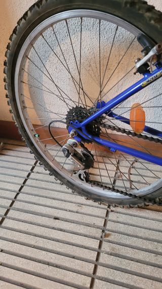 Bicicleta Orbea Orion Azul y Amarilla