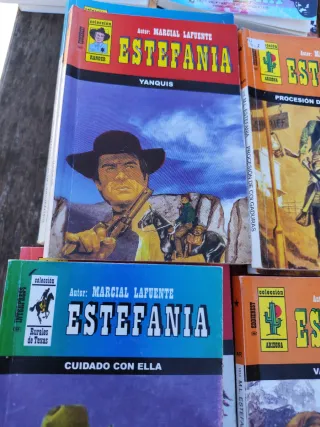 Lote de 27 novelas del oeste Estefania