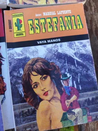Lote de 27 novelas del oeste Estefania