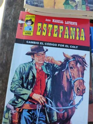 Lote de 27 novelas del oeste Estefania