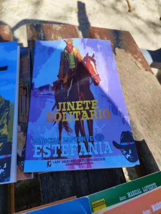 Lote de 27 novelas del oeste Estefania